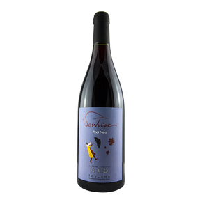 Il Rio, Pinot nero Ventisei 2019